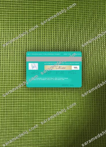 USA M&T Bank visa card photolook back